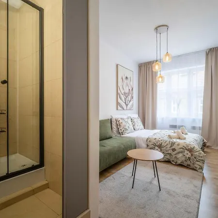 Apartmán Elegant In Historical Centrum - Ac & Netflix *